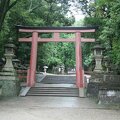 R9272 Nara - Grand torii du kasuga taisha