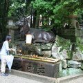 R9273 Nara - un puits de purification du kasuga taisha