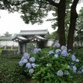 R9484 Tokyo - Jardins imperiaux
