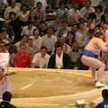 R9646 Nagoya - dohyo de sumo - Hakurozan sort Tamakasuga
