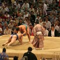 R9659 Nagoya - dohyo de sumo - Aminishiki plaque Kaiho