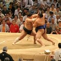 R9683 Nagoya - dohyo de sumo - Kotomitsuki vs Tamanoshima