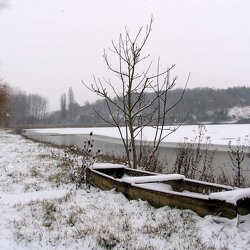 2006