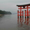 PM08 Miyajima - Tori du temple Itsukushima jinja
