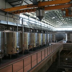 2006