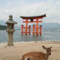 R0347 Miyajima - o torii du temple itsukushima