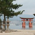R0368 Miyajima - o torii du temple itsukushima