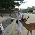 R0638 Nara - temple Todaiji - Aurelie et les daims