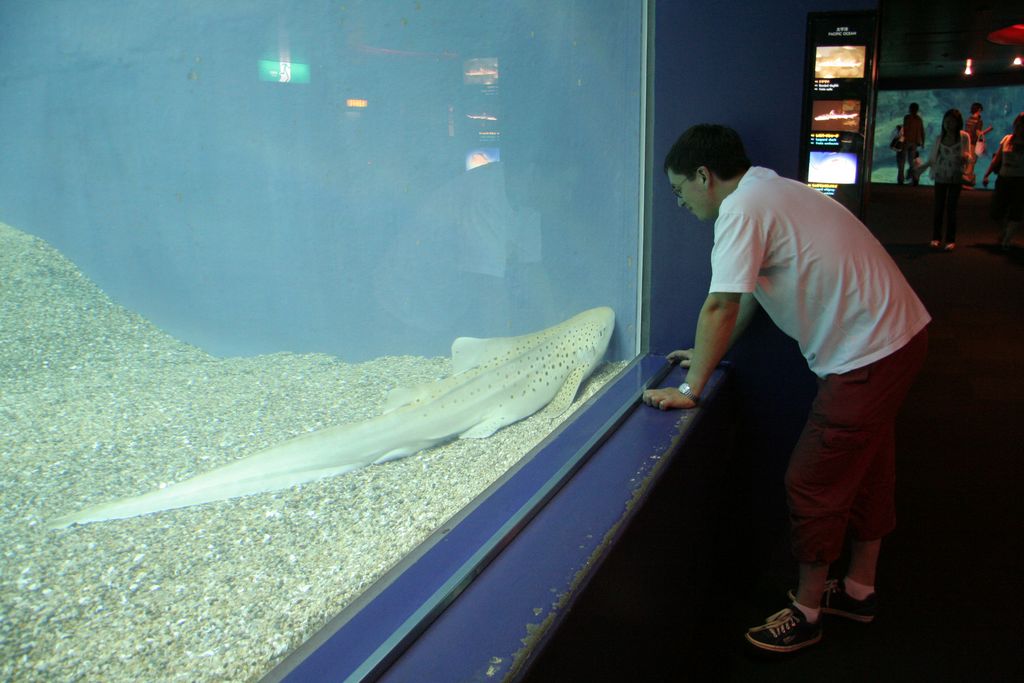 R9177 Aquarium d Osaka -