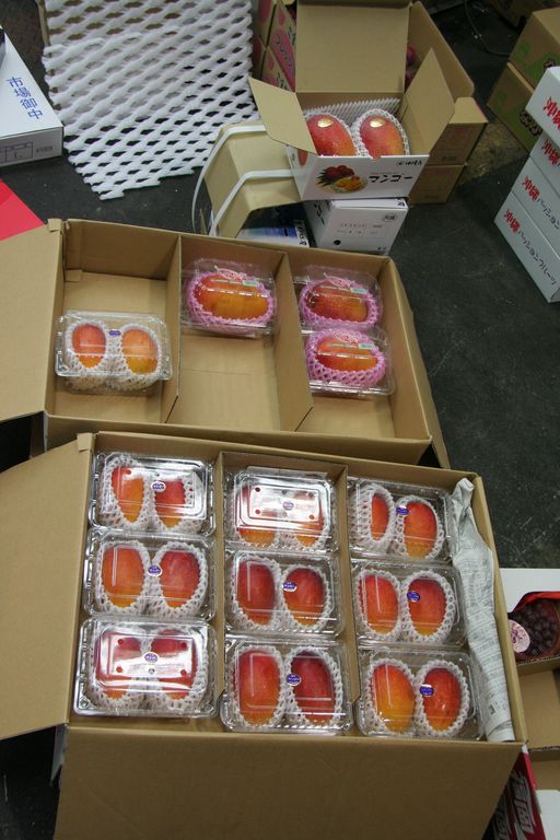 R9406 Osaka - Honjo - Mangues pretes a manger