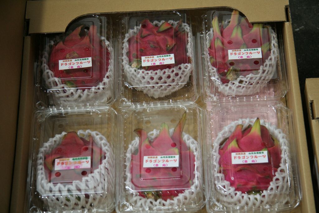 R9407 Osaka - Honjo - Fruits du dragon