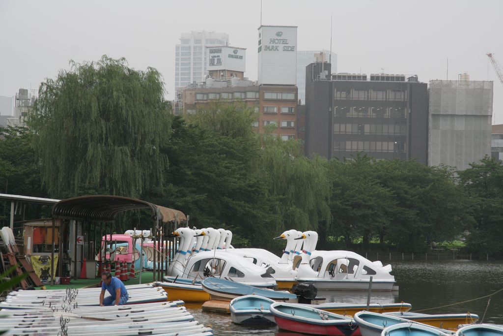 R9473 Tokyo - Ueno park - pedalo cygnes