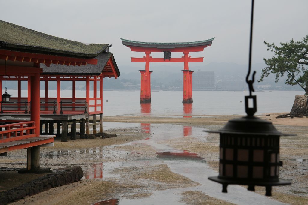 R9850 Miyajima - Torii du temple Itsukushima jinja