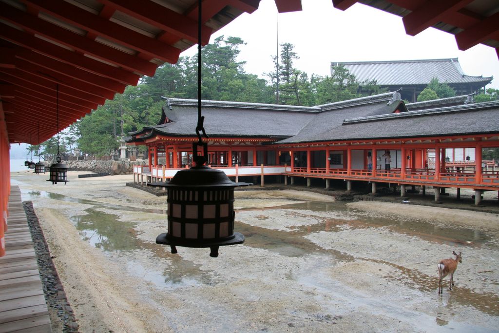 R9851 Miyajima - Temple Itsukushima jinja