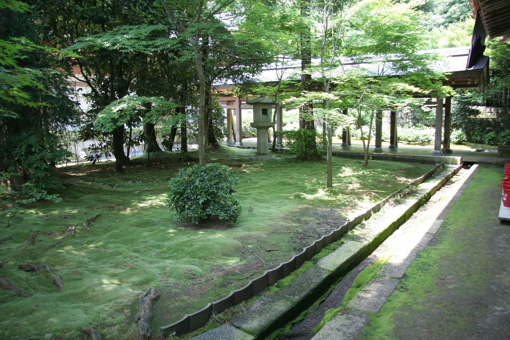 R9999089 Kyoto - Ryoanji - Jardin de mousse