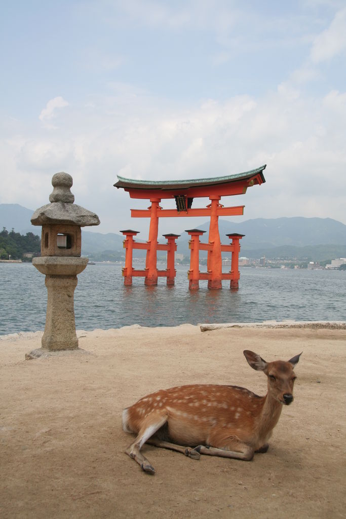 R0347_Miyajima_-_o_torii_du_temple_itsukushima.jpg