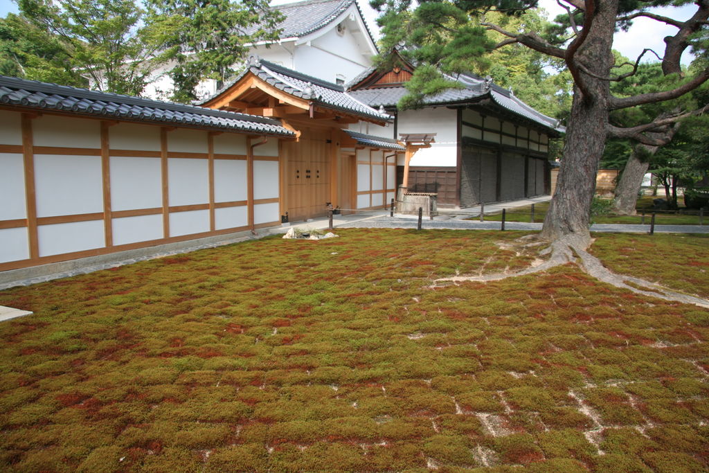 R0586 Kyoto - temple kinkakuji