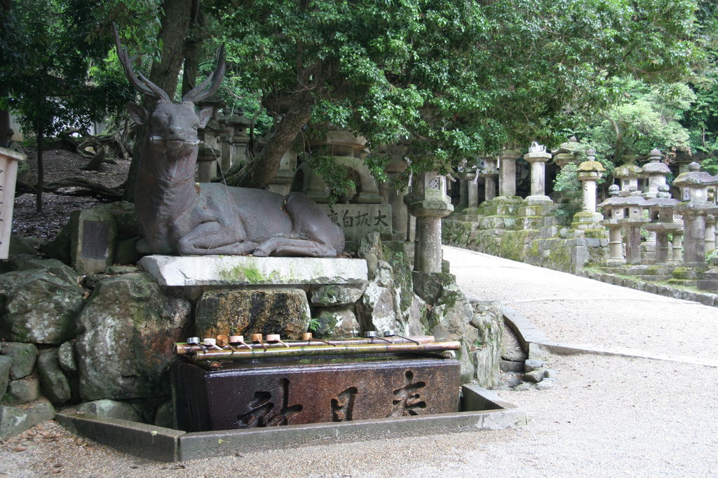 R0712 Nara - bassin de purification du kasuga taisha
