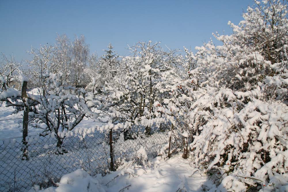 12 2012 neige archigny