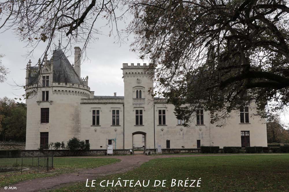 02 château de Brézé.jpg